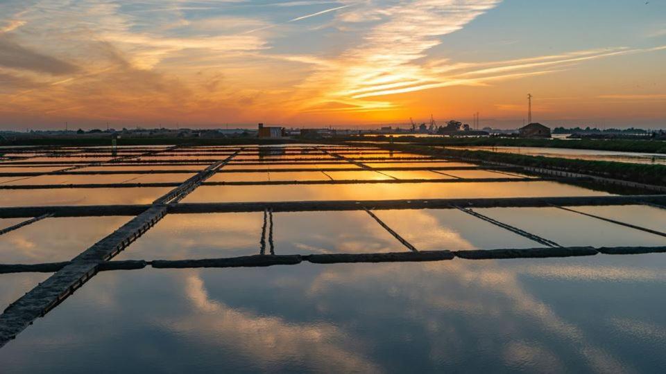 Apartmán Moliceiros Aveiro Exteriér fotografie